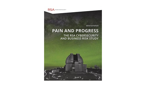 Pijn en voortgang: Cybersecurity and Business Risk Study